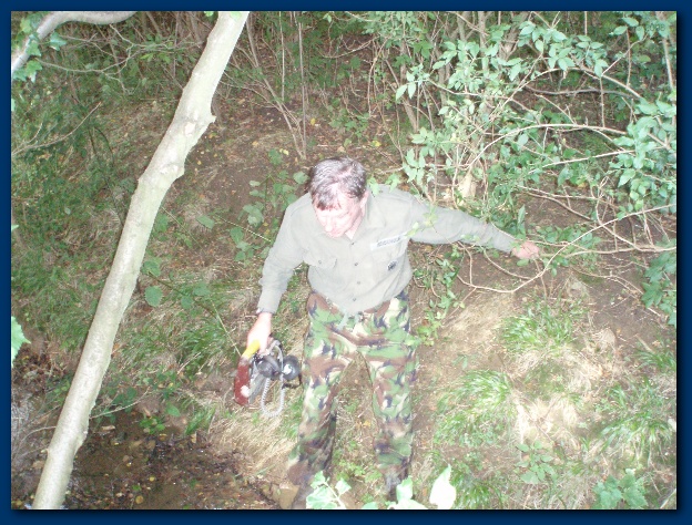 600x449 pixels (188K)